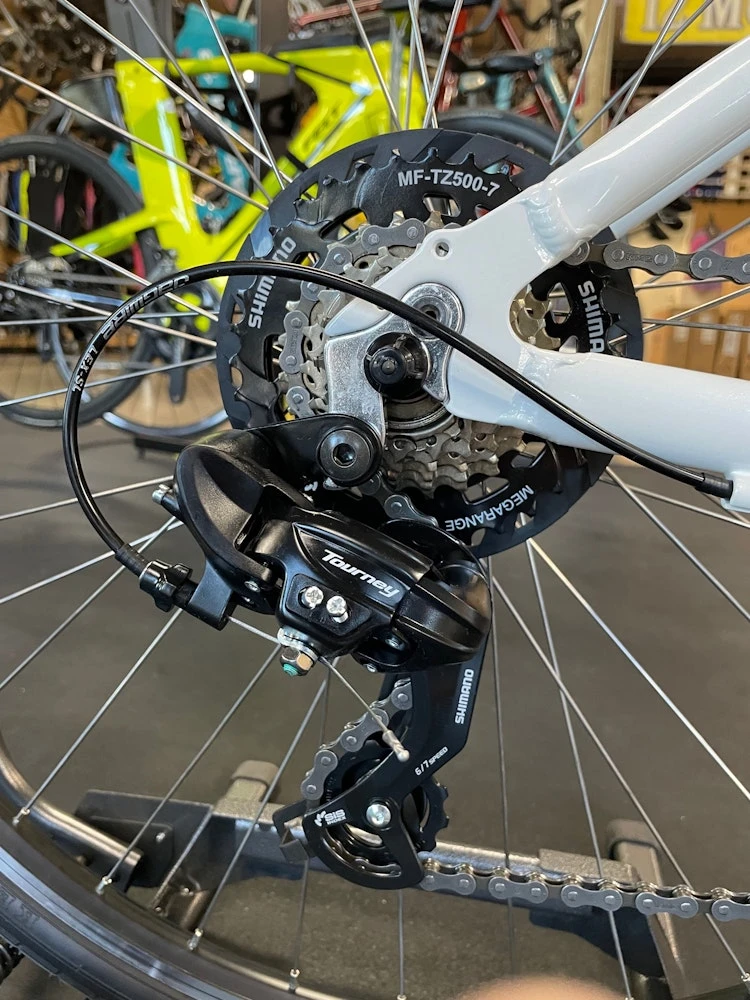 Bianchi Siena Dama White/Celeste 2022 - Image 11