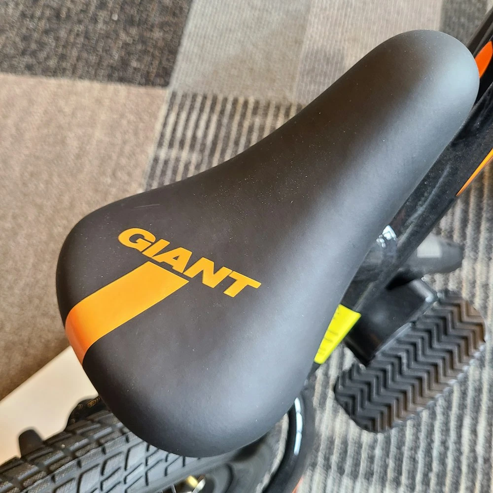 We Ship! Giant Pre Push Bike 2021 - Image 12