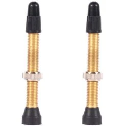WTB TCS Presta Valve 46mm Brass 2017