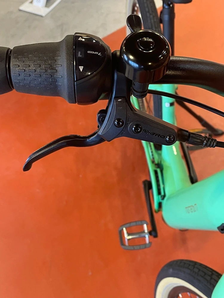 Momentum GIANT - VIDA E+ LOW -STEP Electric - 2022 - Image 12