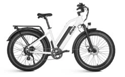 Dirwin Seeker Step-Thru Fat Tire Electric Bike