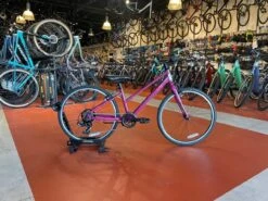 WE SHIP! Liv Alight 24