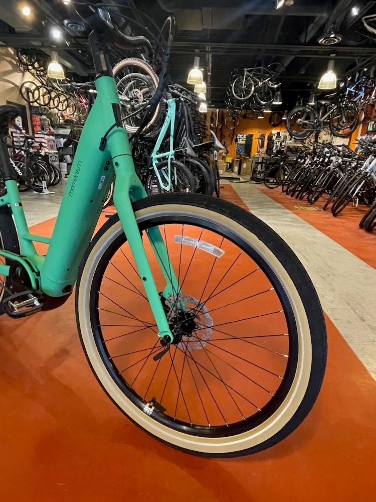 Momentum GIANT - VIDA E+ LOW -STEP Electric - 2022 - Image 5