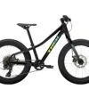 Trek Roscoe 20 2021