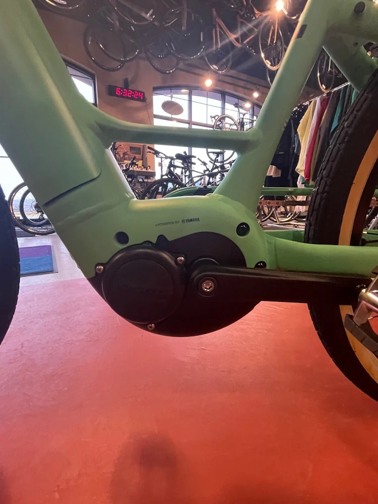 Momentum GIANT - VIDA E+ LOW -STEP Electric - 2022 - Image 2