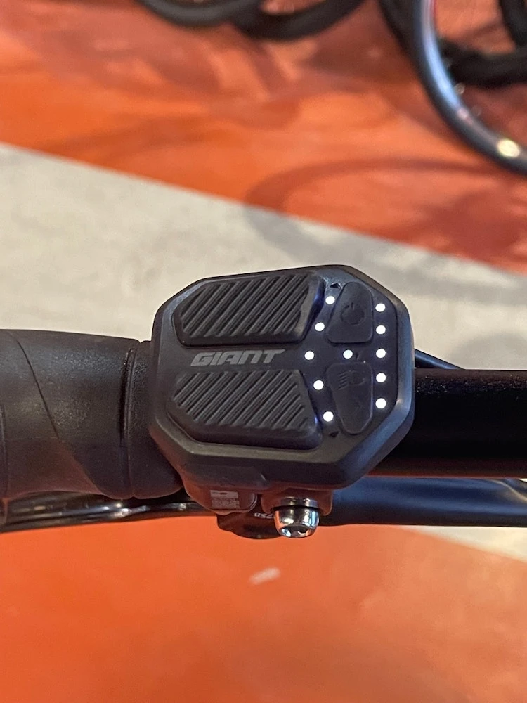 Momentum GIANT - VIDA E+ LOW -STEP Electric - 2022 - Image 10