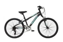 Bianchi Duel 24" 2022