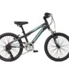 Bianchi: Junior Duel 20" Boy BLK/CELESTE M...