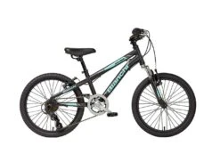 Bianchi: Junior Duel 20" Boy BLK/CELESTE M...