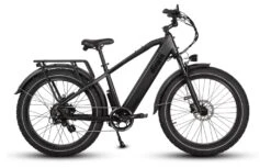 Dirwin Pioneer Fat Tire Electric Bike