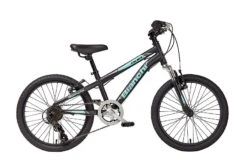 2022 Bianchi Duel 20" Matte Black